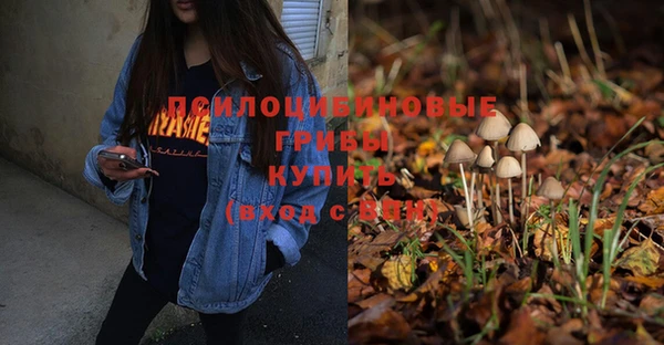 гашик Абинск