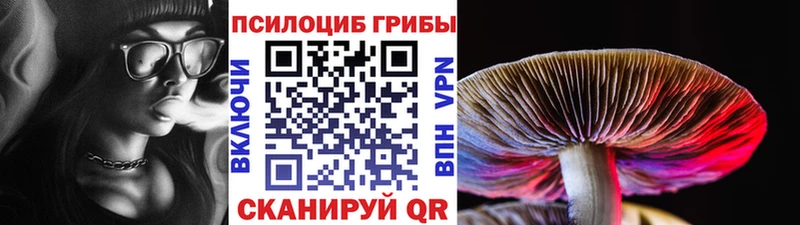 Псилоцибиновые грибы мицелий  как найти наркотики  Ядрин 